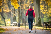 Benefits of Using Walking Sticks
